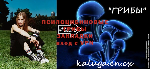прущая мука Карпинск