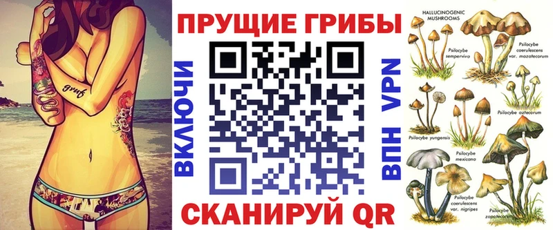 Псилоцибиновые грибы Psilocybine cubensis  как найти закладки  Вятские Поляны 
